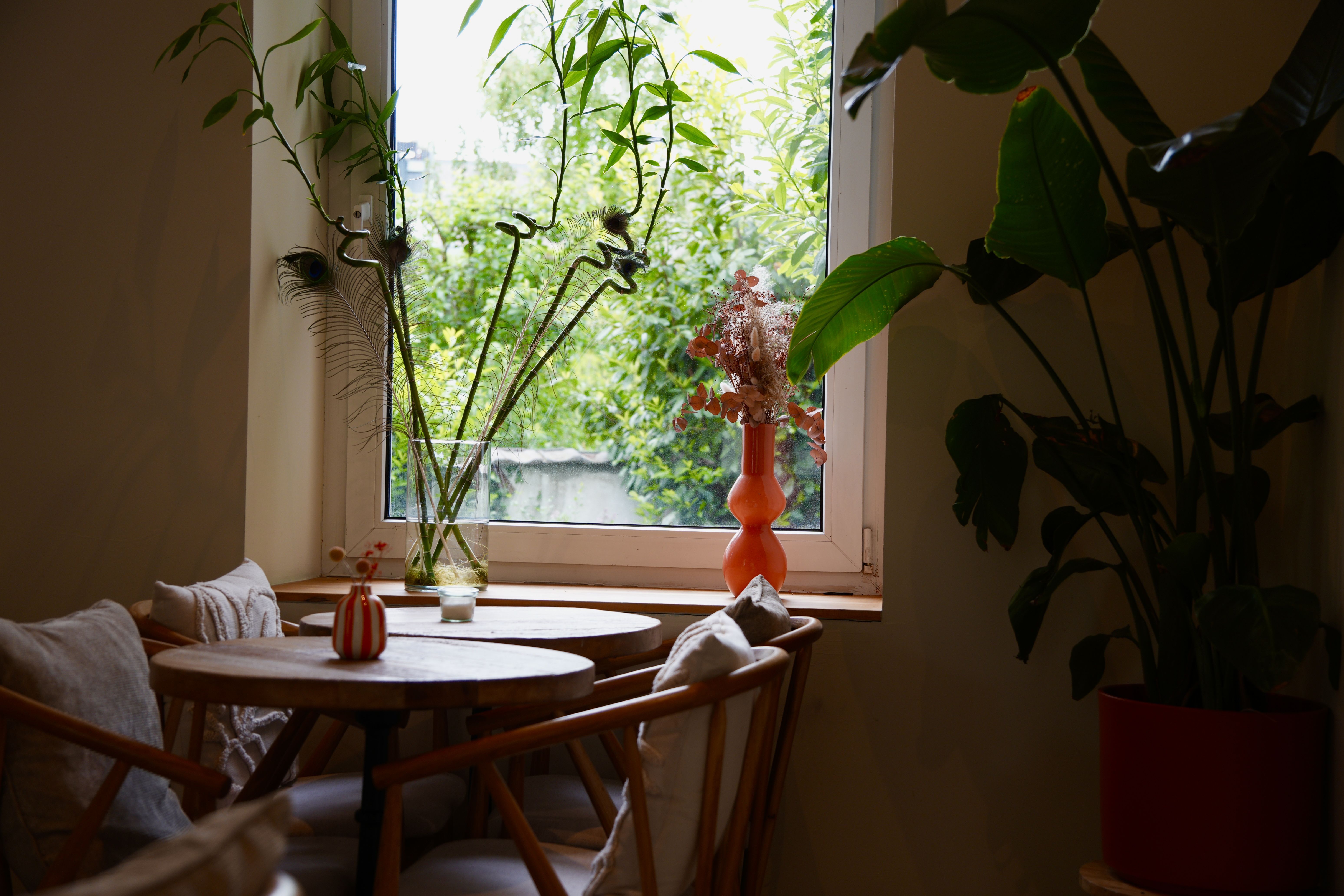 ZIANI FX – Milo Interieur